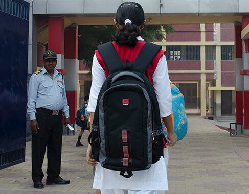 Examination Guidelines