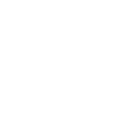 Examination Guidelines