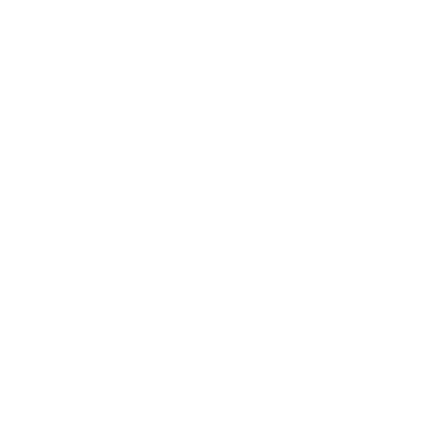 Examination Guidelines