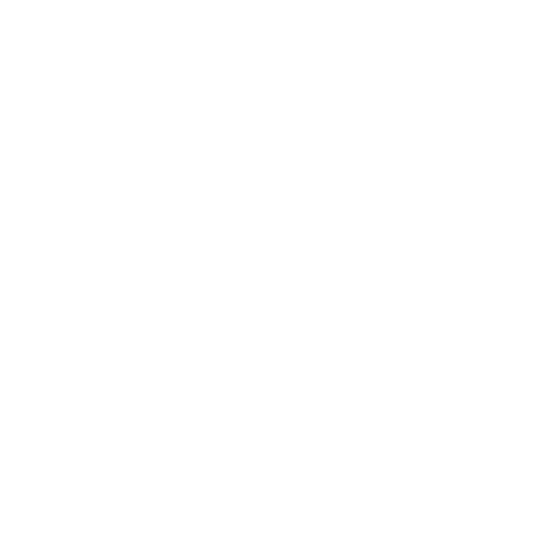 Examination Guidelines