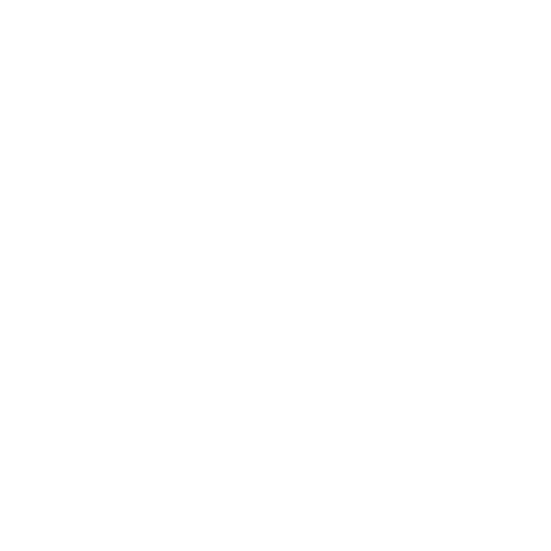 Examination Guidelines