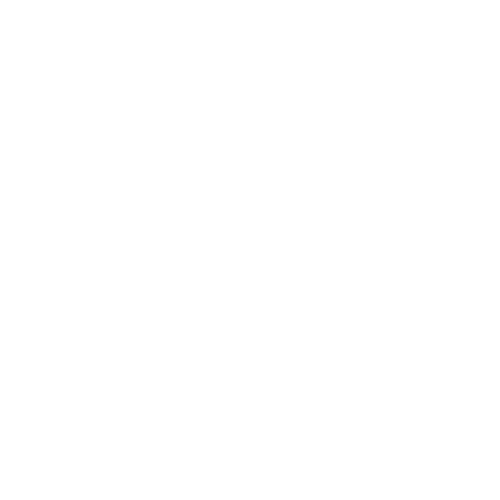 Examination Guidelines