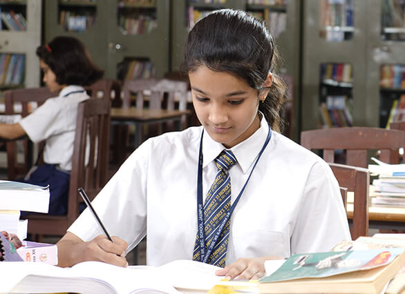 Examination Guidelines